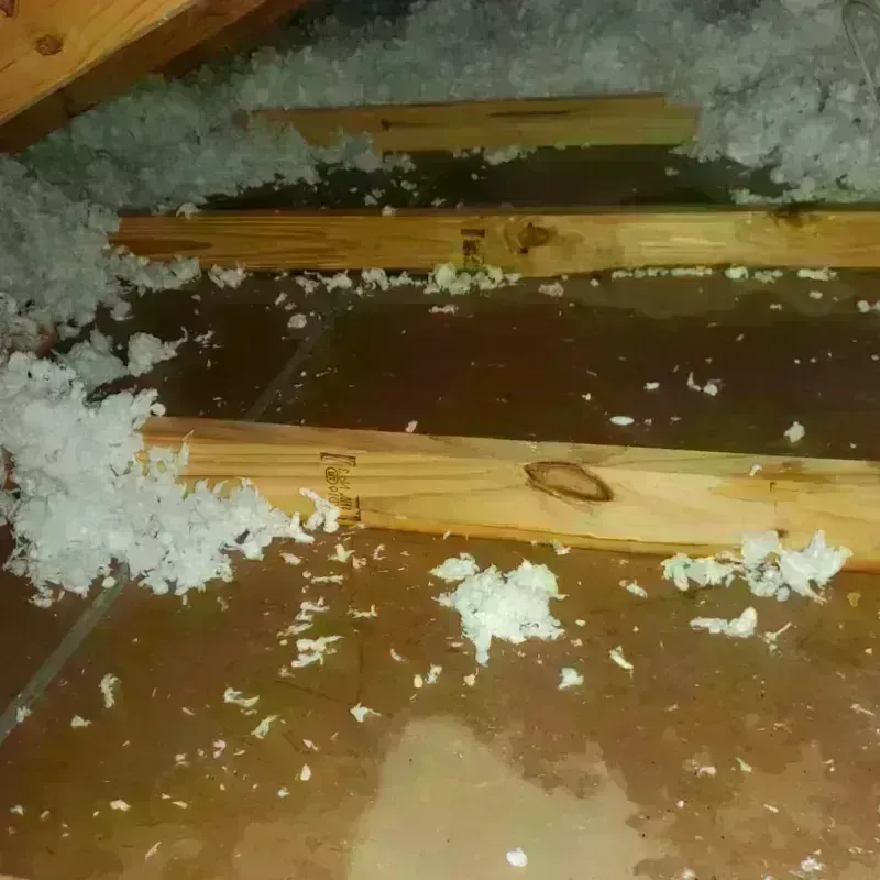 Attic Water Damage in South Sarasota, FL