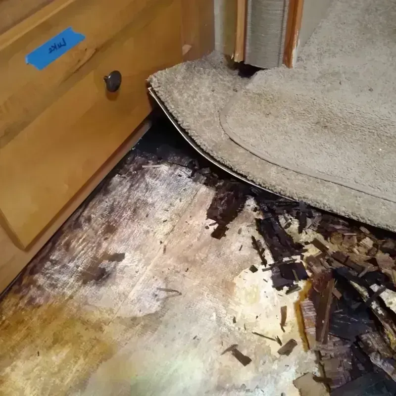 Wood Floor Water Damage in South Sarasota, FL